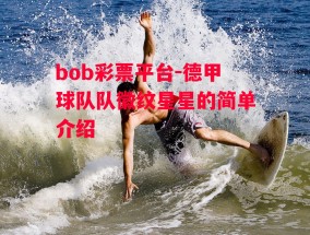 bob彩票平台-德甲球队队徽纹星星的简单介绍